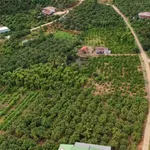 Bán đất 150 m² xã Đắk Rla, Đắk Nông - Ảnh thu nhỏ 1