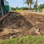 Bán đất Ấp 2 Hữu Thạnh Đức Hoà 6x35m mặt tiền đường bê tông - Ảnh thu nhỏ 3