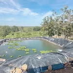 Bán lô đất sầu riêng 1ha3, Lộc Ninh, Lâm Đồng, 1 tỷ 999 triệu - Ảnh thu nhỏ 2