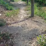 Bán đất vườn 7700m² tại Xã Thạnh Lợi, Tây Ninh - 5 tỷ 500 triệu - Ảnh thu nhỏ 4