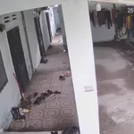 Bán dãy trọ 4 phòng 158m² mặt tiền 11m Nguyễn Văn Cừ - Ảnh thu nhỏ 1
