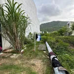 Bán đất mặt tiền Nhơn Phú Quy Nhơn 80m2, 2 tỷ 4 - Ảnh thu nhỏ 1