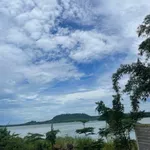 Bán đất vườn 1.000m² view sông La Ngà Cần Giờ 575 triệu - Ảnh thu nhỏ 4