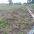 Đất đường nhựa DH3 Gò Công Đông, Tiền Giang, 1.315m2 200m2 thổ cư, tiền làm nhà vườn, giá 1,3 tỷ TL - Ảnh thu nhỏ 20
