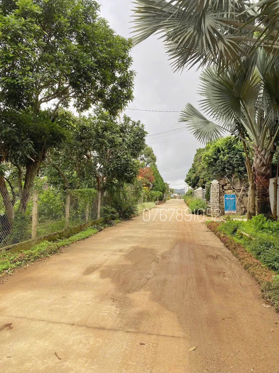 Bán đất nghỉ dưỡng 1.100m2 có 400m thổ cư tại Liên Hiệp, Đức Trọng, Lâm Đồng - Ảnh thu nhỏ 3