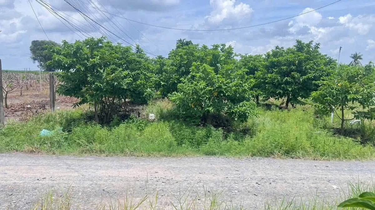 Bán lô đất 300m² Dương Minh Châu, Tây Ninh, giá 429 triệu - Ảnh thu nhỏ 3