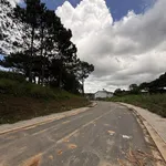 Bán đất xây dựng view rừng thông An Sơn Thành phố Đà Lạt - Ảnh thu nhỏ 2