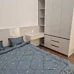 Bán nhà 5x18m 3 phòng ngủ hẻm 134 Phan Huy Chú, Phường Thành Nhất giá 1,95 tỷ - Ảnh thu nhỏ 5