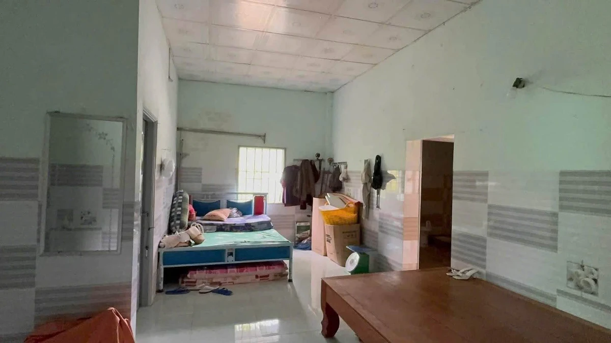 Bán nhà vườn 2.049m² trái cây Xã Phú Vinh, Đồng Nai - Ảnh thu nhỏ 4