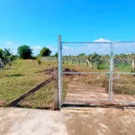 Bán 850m² đất cây trồng Hàm Liêm, Bình Thuận - Ảnh thu nhỏ 3