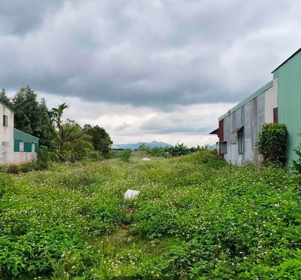 Bán đất mặt tiền Phó Đức Chính view hồ, Hồ Chí Minh - Ảnh thu nhỏ 2