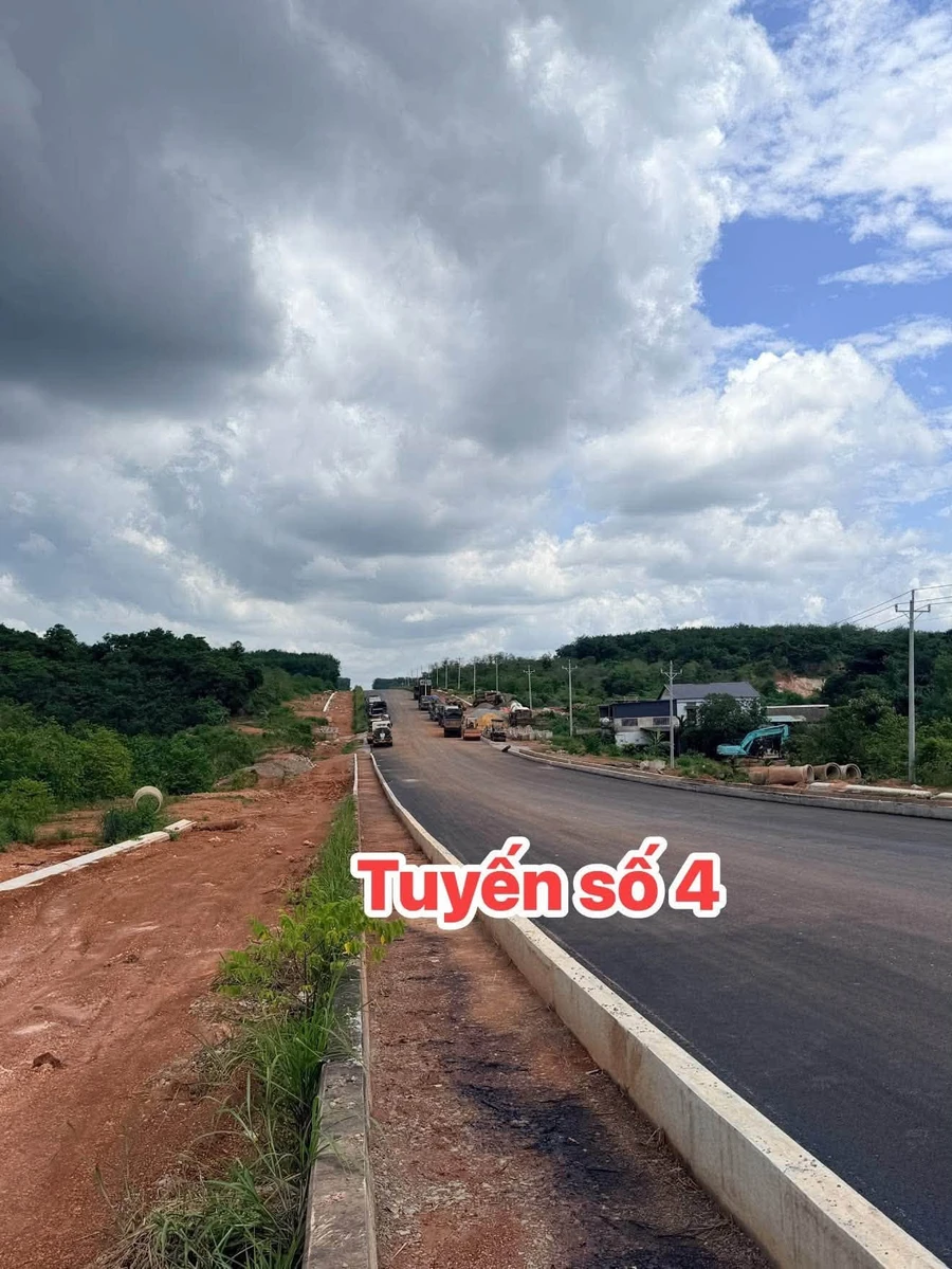 Bán đất mặt tiền Tuyến 4, 2 hecta, 4 tỷ tại Đồng Phú - Ảnh thu nhỏ 3