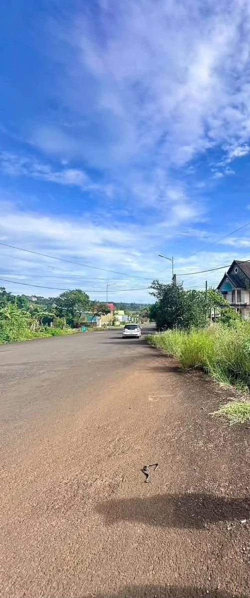 Bán đất nền 320m² mặt tiền Phan Chu Trinh 1 tỷ 300 triệu - Ảnh 1