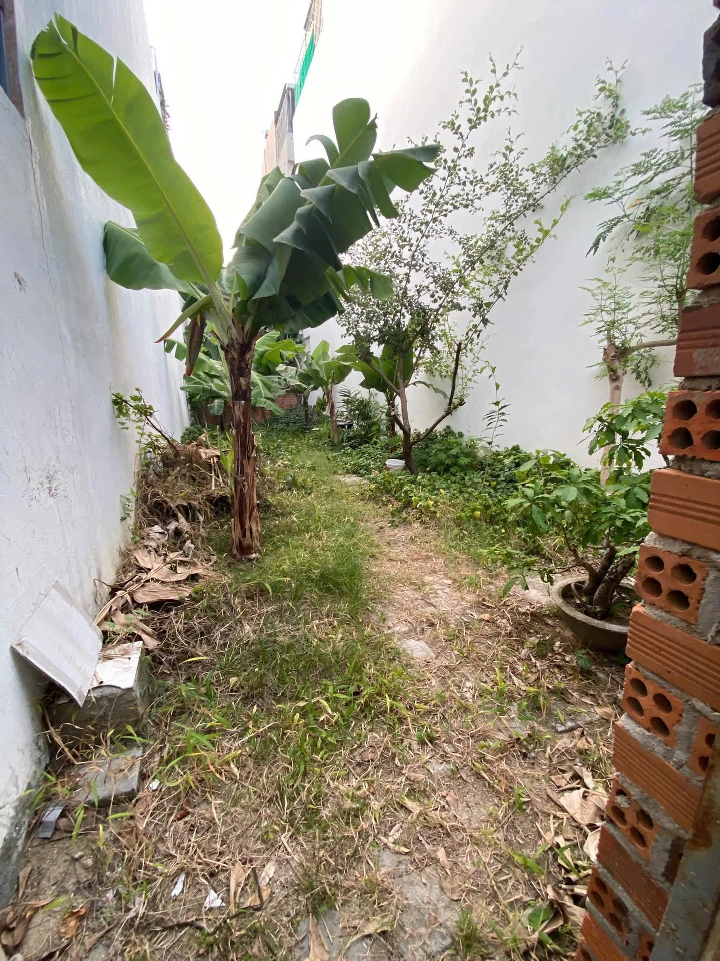 Bán lô đất mặt tiền Vương Thừa Vũ 95m2, 5.7 tỷ - Ảnh 1