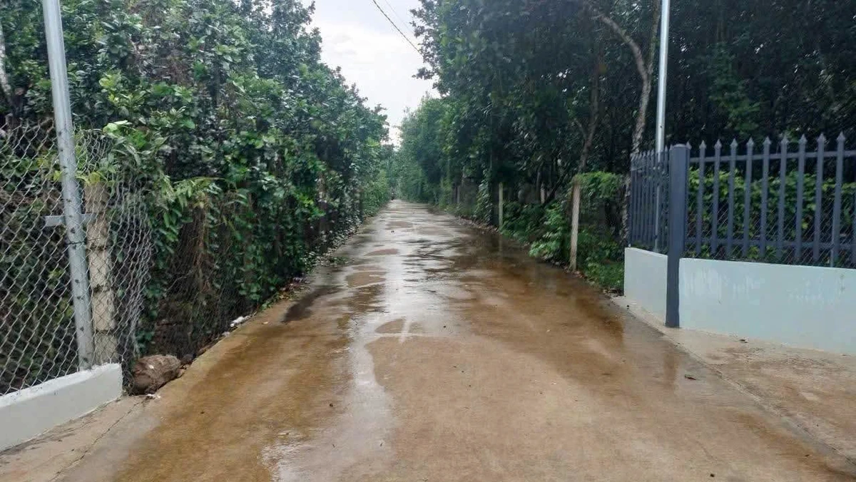 Bán nhà vườn 619m² sổ riêng, giá 680 triệu, Đồng Nai - Ảnh thu nhỏ 4