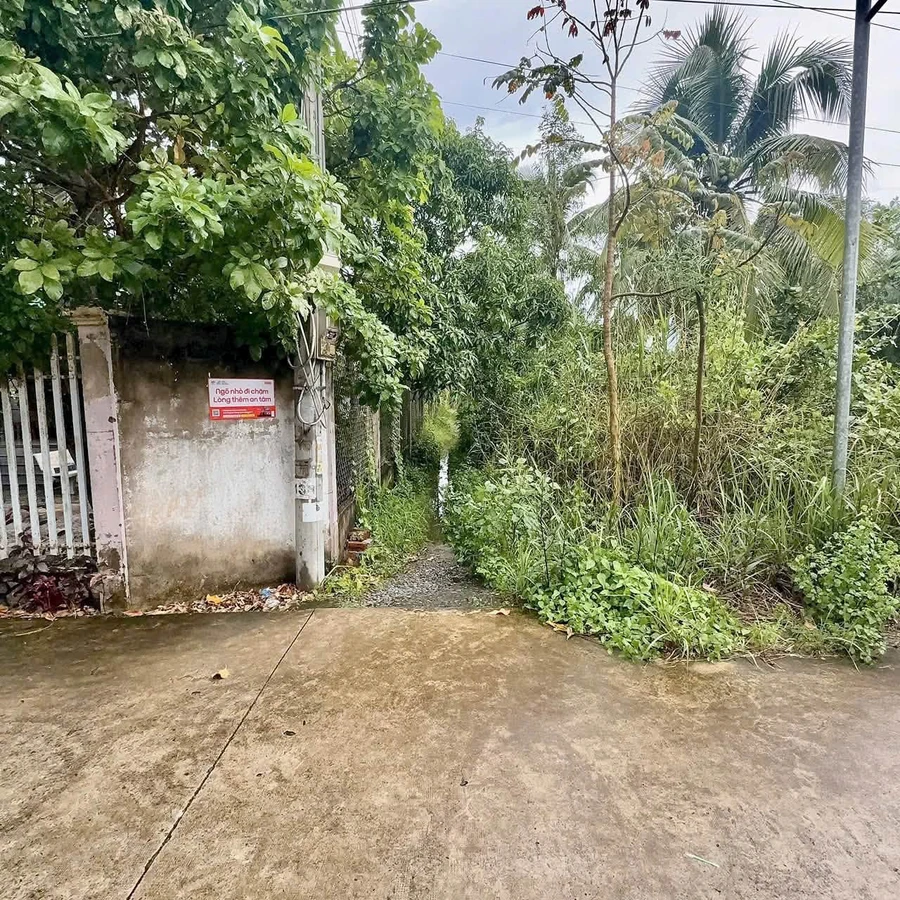 Bán nhà 1 phòng ngủ 378m² Phường 6 Tân Phú 1.43 tỷ - Ảnh thu nhỏ 2