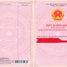 Bán QSDĐ và TS khác gắn liền với đất thuộc thửa 743, TBĐ 34 P.Thắng Lợi, TP.Pleiku, T.Gia Lai - Ảnh thu nhỏ 6