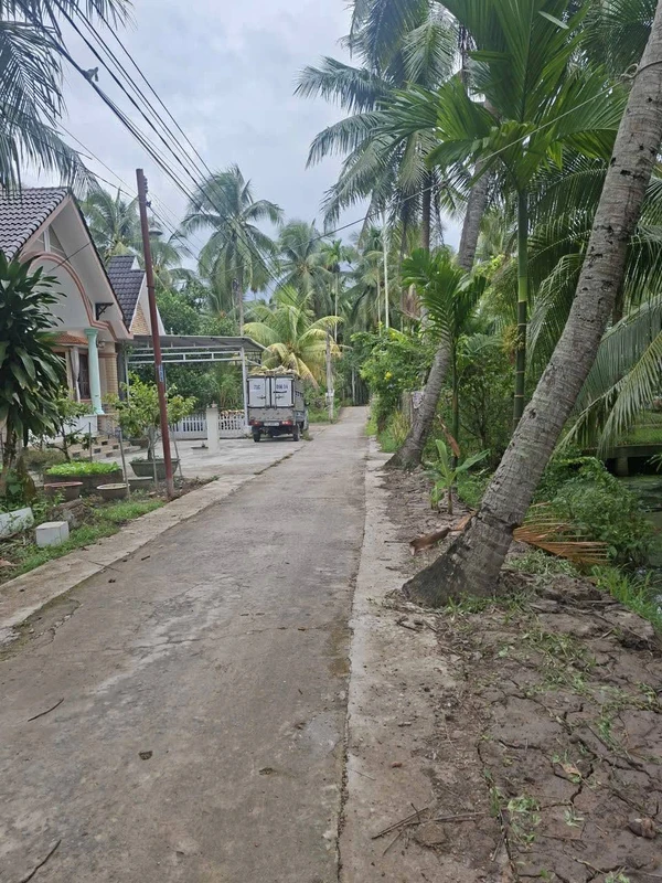 Bán đất gần 2,4c tại Châu Bình, Giồng Trôm, Bến Tre