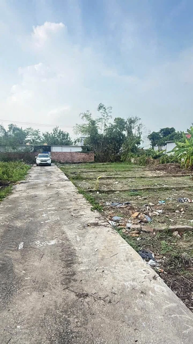 Bán đất 62m² sát đường 203 Lâm Động giá hơn 1 tỷ - Ảnh thu nhỏ 5