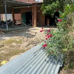 Bán đất 24x49.6m có 2 căn nhà cấp 4 ở Tây Ninh 399 triệu - Ảnh thu nhỏ 2