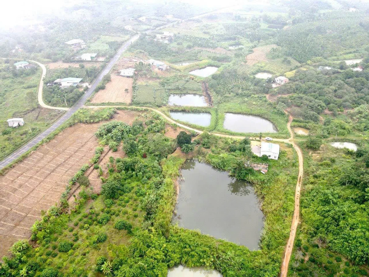 Bán đất 1.9 hecta mặt tiền Quốc Lộ 29, Krông Năng, Đắk Lắk - Ảnh thu nhỏ 4