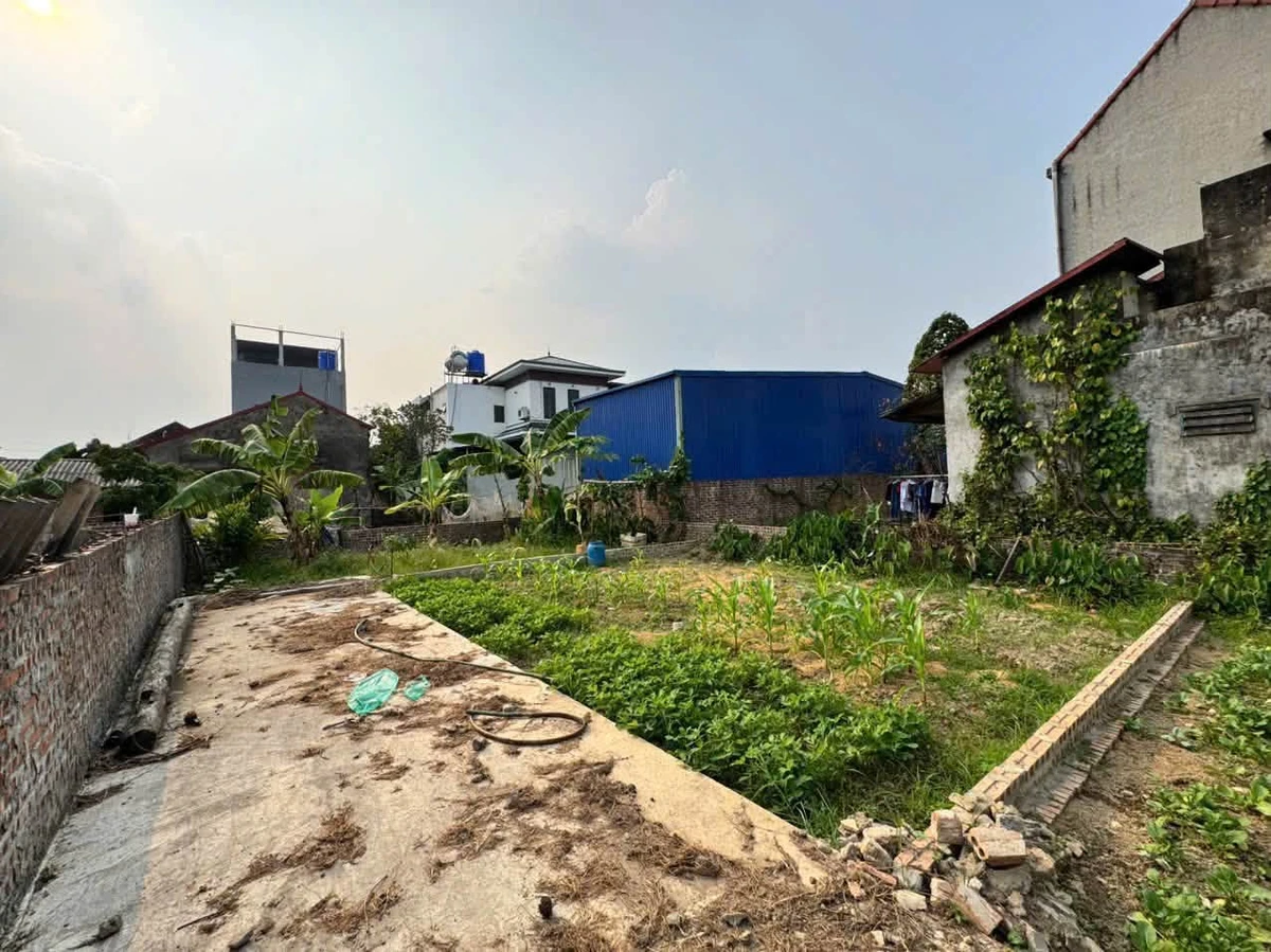 Bán đất nền 55m² giá 1 tỷ tại Hưng Yên - Ảnh thu nhỏ 3