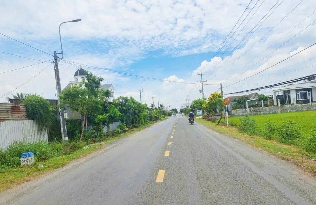 Bán đất 1916m2 mặt tiền đường nhựa 833 Bình Lãng, Tân Trụ, Long An giá 6,5 tỷ - Ảnh thu nhỏ 3