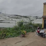 Bán đất 61m2 đường Nguyễn Hữu Cầu, Đà Lạt, 500 triệu - Ảnh thu nhỏ 3