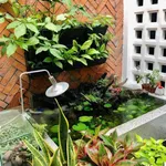 Bán nhà 1 trệt 1 lầu 90m² Phan Thiết Bình Thuận 3.8 tỷ - Ảnh thu nhỏ 2