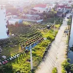 Bán đất Vỹ Dạ 103m² Bình Chánh 2 tỷ 9 - Ảnh thu nhỏ 2