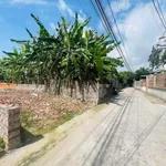 Bán đất Gia Xuyên 91,5m² full thổ cư, giao thông thoáng - Ảnh thu nhỏ 5