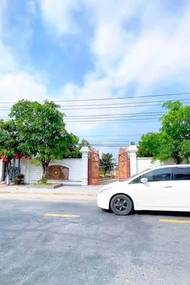 Bán lô đất 1.537m² mặt tiền đường Tỉnh Lộ 826, Cần Đước, Long An - Ảnh thu nhỏ 4