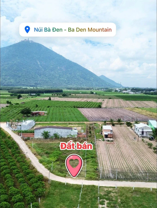 Bán đất nền 90m² 339 triệu, gần Núi Bà, Tây Ninh