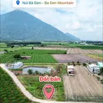 Bán đất nền 90m² 339 triệu, gần Núi Bà, Tây Ninh - Ảnh thu nhỏ 1