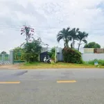 Bán đất 1916m2 mặt tiền đường nhựa 833 Bình Lãng, Tân Trụ, Long An giá 6,5 tỷ - Ảnh thu nhỏ 4