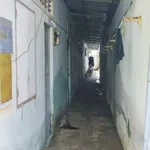 Bán dãy trọ 8 phòng, đất 200m2 (70m2 thổ cư), cách đường Võ Văn Phẩm 50m, giá 1 tỷ 150 triệu - Ảnh thu nhỏ 2
