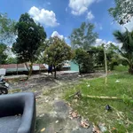Cho thuê nhà vườn 2000m² Phước Vĩnh An Củ Chi 5 triệu/tháng - Ảnh thu nhỏ 4