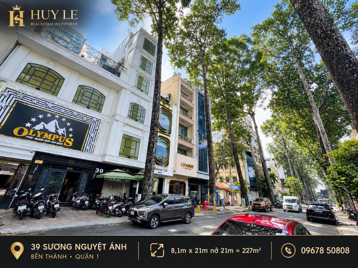 Bán nhà 39 Sương Nguyệt Ánh, 226,9m² đất, 215 tỷ, Quận 1 - Ảnh thu nhỏ 2