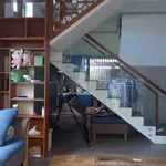 Bán nhà 5 phòng trọ 181m2 Phan Rang Khánh Hòa - Ảnh thu nhỏ 2
