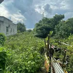 Nhanh tay sở hữu mảnh đất đẹp tại phường Mỹ Thới, An Giang (Thành phố Long Xuyên, An Giang cũ) - Ảnh thu nhỏ 1