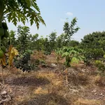 Bán đất mặt tiền Nguyễn Lương Bằng 1000 m², Tây Ninh - Ảnh thu nhỏ 1