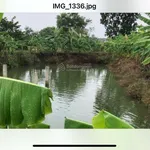 Cần bán khu nghỉ dưỡng tại xã Đá Bạc - Huyện Châu Đức (cũ) - Ảnh thu nhỏ 3