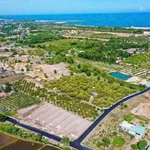Bán đất Phước Hải 423m² 2 tỷ 9 - Ảnh thu nhỏ 1