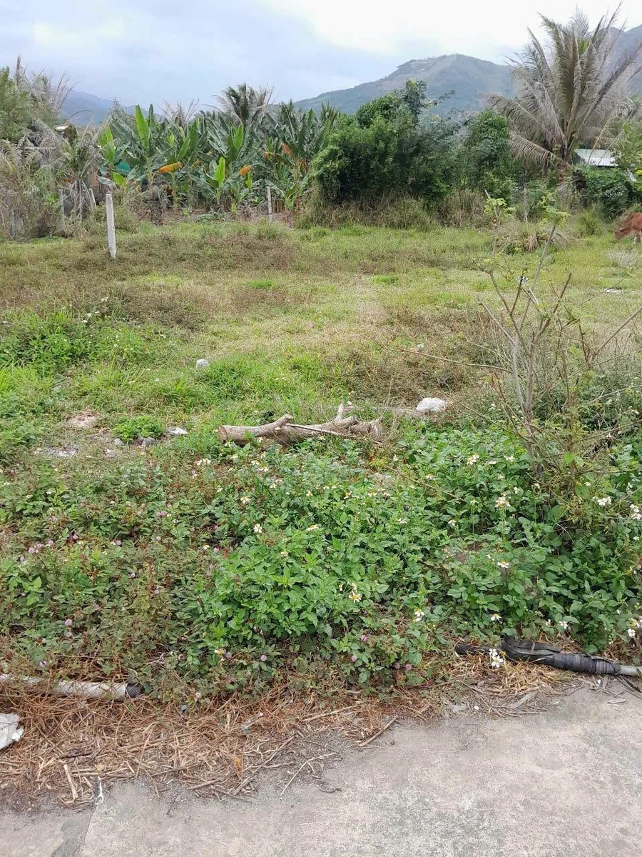 Bán lô đất 214m2 Vĩnh Phương Nha Trang 850 triệu - Ảnh thu nhỏ 4