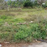 Bán lô đất 214m2 Vĩnh Phương Nha Trang 850 triệu - Ảnh thu nhỏ 4