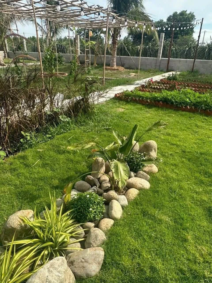 Bán biệt thự 1618m2 Hàm Chính Phan Thiết, 1 tỷ 350 triệu - Ảnh thu nhỏ 5