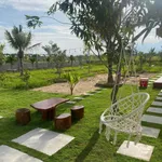 Bán nhà vườn 1826m2 Hàm Liêm, Lâm Đồng - Ảnh thu nhỏ 3