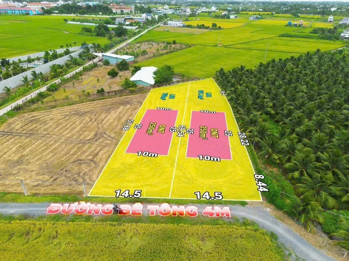 Bán đất 1000m² xây nhà vườn tại Tây Ninh - Ảnh thu nhỏ 5