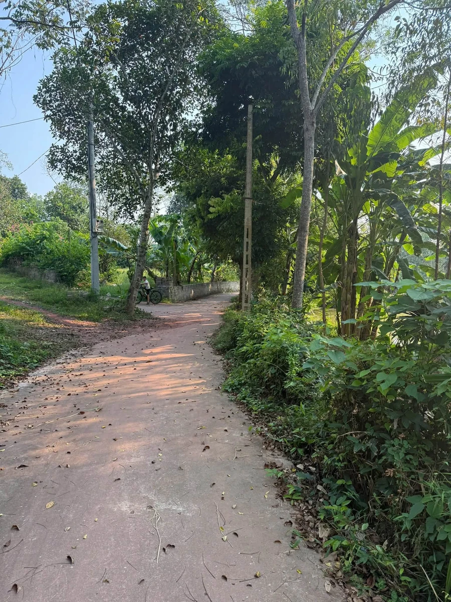 Bán mảnh vườn 4000m² tại Yên Thế, Bắc Ninh - Ảnh thu nhỏ 2