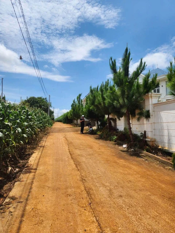 Bán lô đất nhà vườn 1.732 m² Đức Trọng Lâm Đồng